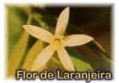 Laranja